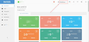 Buy Verified Payeer Accounts